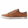 TOM TAILOR Trainers - Cognac 1 TOM TAILOR Trainers - Cognac -TOM TAILOR online store 285b1b08964d485d8ce562d243a9ac2f