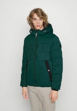 TOM TAILOR MIX PUFFER JACKET - Winter Jacket - Deep Green Lake