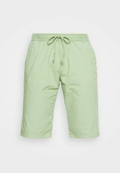 TOM TAILOR LIGHTWEIGHT - Shorts - Light Mint Green -TOM TAILOR online store 3da875e14bf9401abf68ed6ef1559325