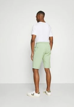 TOM TAILOR LIGHTWEIGHT - Shorts - Light Mint Green -TOM TAILOR online store 438a0daa82de40848a4620a2d7333c54