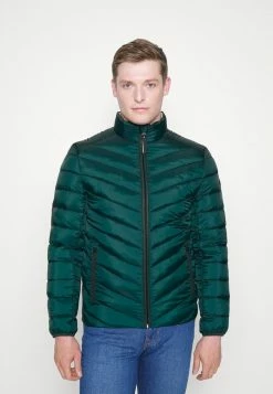 TOM TAILOR LIGHTWEIGHT JACKET - Light Jacket - Deep Green Lake