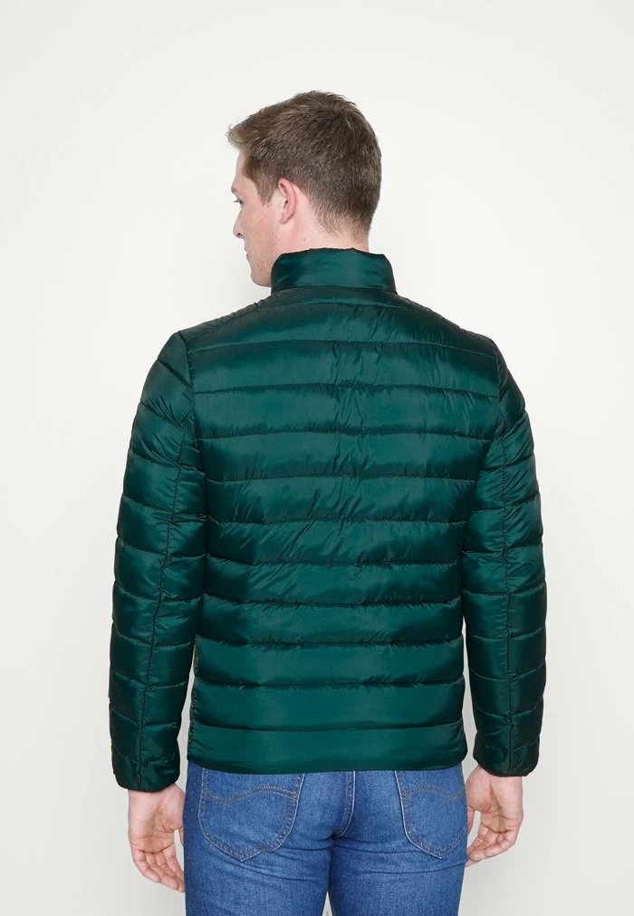 TOM TAILOR LIGHTWEIGHT JACKET - Light Jacket - Deep Green Lake 5 TOM TAILOR LIGHTWEIGHT JACKET - Light Jacket - Deep Green Lake - Image 3