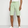 TOM TAILOR LIGHTWEIGHT - Shorts - Light Mint Green -TOM TAILOR online store 505bec6f362642dc9100d417b9789f7f