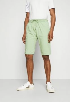 TOM TAILOR LIGHTWEIGHT - Shorts - Light Mint Green
