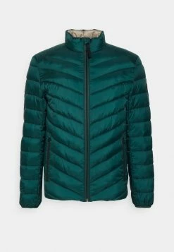 TOM TAILOR LIGHTWEIGHT JACKET - Light Jacket - Deep Green Lake 12 TOM TAILOR LIGHTWEIGHT JACKET - Light Jacket - Deep Green Lake -TOM TAILOR online store 68b9eee412e04f33a46bef6b5092aca4