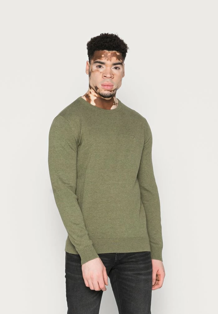 TOM TAILOR BASIC CREW NECK SWEATER - Jumper - Bleak Green Melange 3 TOM TAILOR BASIC CREW NECK SWEATER - Jumper - Bleak Green Melange