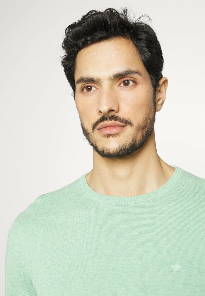 TOM TAILOR BASIC CREW NECK SWEATER - Jumper - Soft Jade Melange 6 TOM TAILOR BASIC CREW NECK SWEATER - Jumper - Soft Jade Melange - Image 4