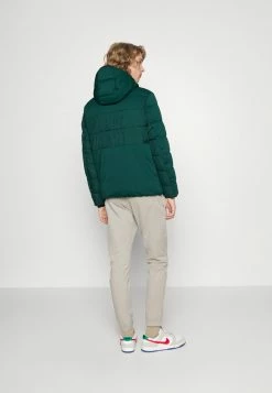 TOM TAILOR MIX PUFFER JACKET - Winter Jacket - Deep Green Lake 11 TOM TAILOR MIX PUFFER JACKET - Winter Jacket - Deep Green Lake -TOM TAILOR online store b4de30cd0b914f74a781c75c15075eed