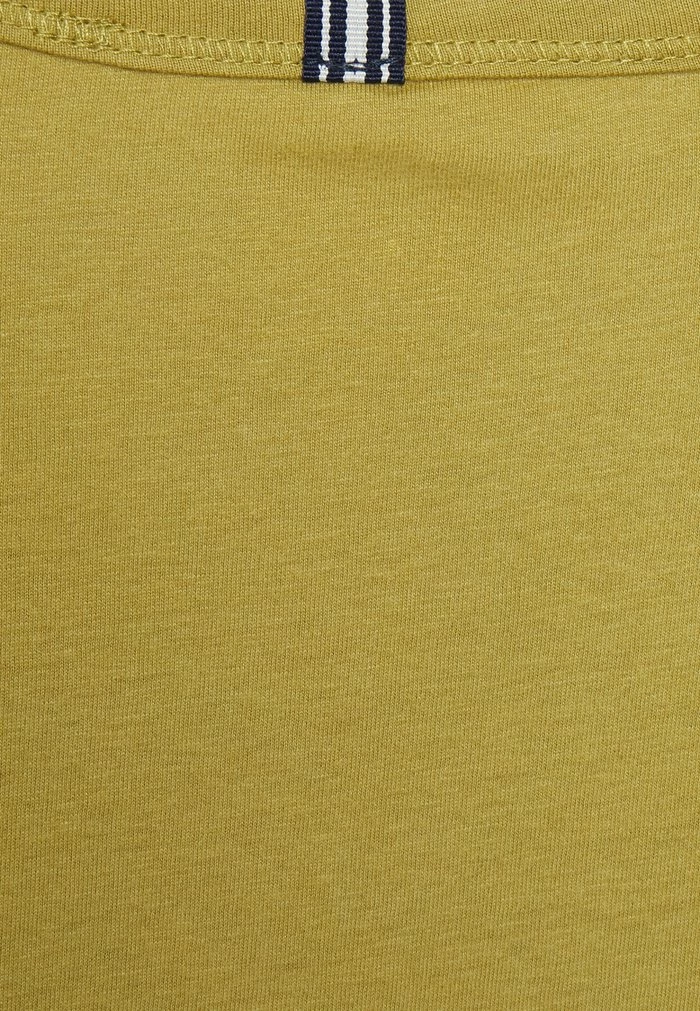 TOM TAILOR PEACHED V NECK - Basic T-shirt - Wooden Moss Green 5 TOM TAILOR PEACHED V NECK - Basic T-shirt - Wooden Moss Green - Image 3