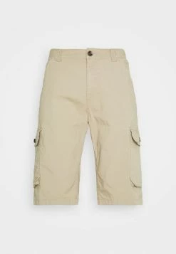 TOM TAILOR LIGHTWEIGHT CARGO - Shorts - Chinchilla 11 TOM TAILOR LIGHTWEIGHT CARGO - Shorts - Chinchilla -TOM TAILOR online store f01209ffb00040f1a3167eccc51f38e2